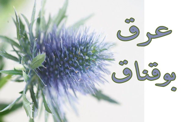 درمان دائمی و قطعی دیابت نوع یک و نوع دو با عرق بوقناق درمان دائمی و قطعی دیابت نوع یک و نوع دو با عرق بوقناق