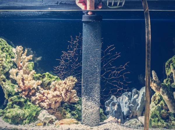 بهترین راه و روش برای تمیز کردن آکواریوم تعویض-آب-آکواریوم