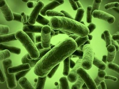 بیماری-ژیاردیا