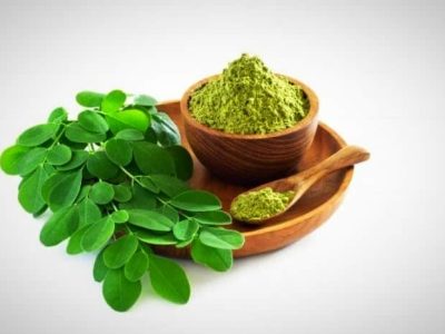 گیاه مورینگا