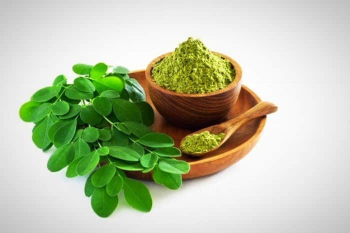 گیاه مورینگا باعث لاغری میشود گیاه مورینگا