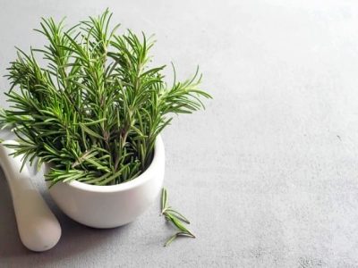 گیاه-رزماری