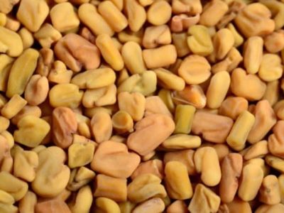 خواص تخمه شنبلیله