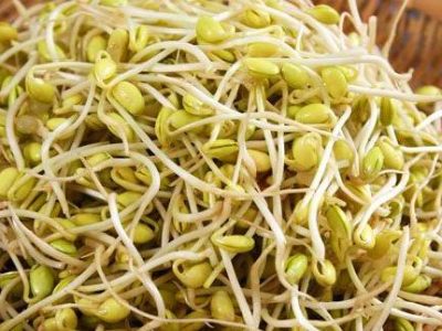 خواص جوانه تربچه هم برای زیبایی هم برای سلامت