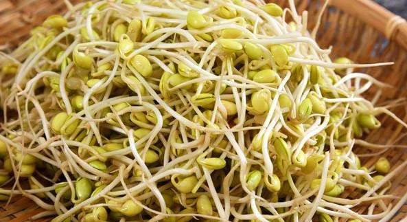 خواص جوانه تربچه هم برای زیبایی هم برای سلامت