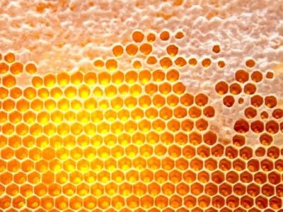 خواص عسل در بخش دارویی ، درمانی و زیبایی