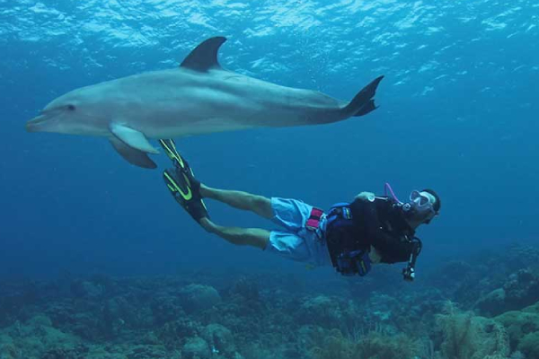 گرانترین تفریحات کیش