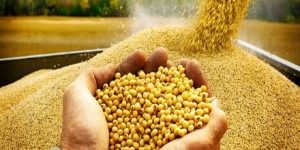 بهترین غذا را در سریعترین زمان سفارش دهید...
