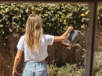small space gardening
